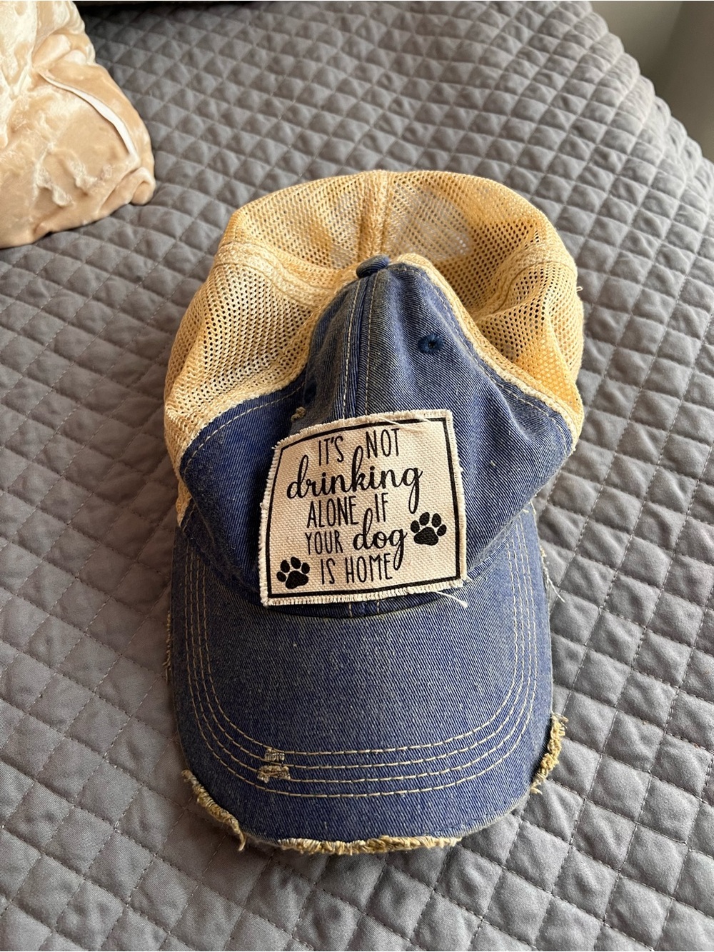 Dog Lover Distressed Mesh Baseball Cap - Blue & Tan